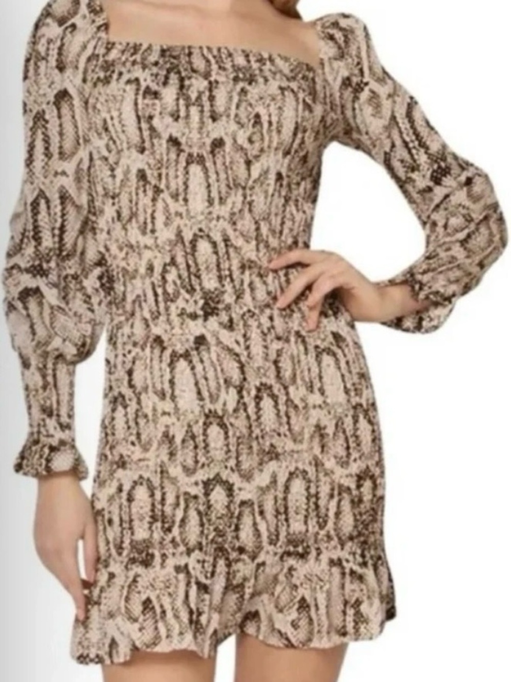 Gracia Neutral Snake-Print Long Sleeve Smocked Mini Dress